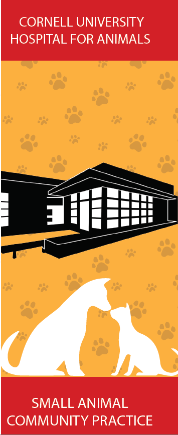 Technology and care combine at Cornell’s new Small Animal Community Practice | Cornell ...
